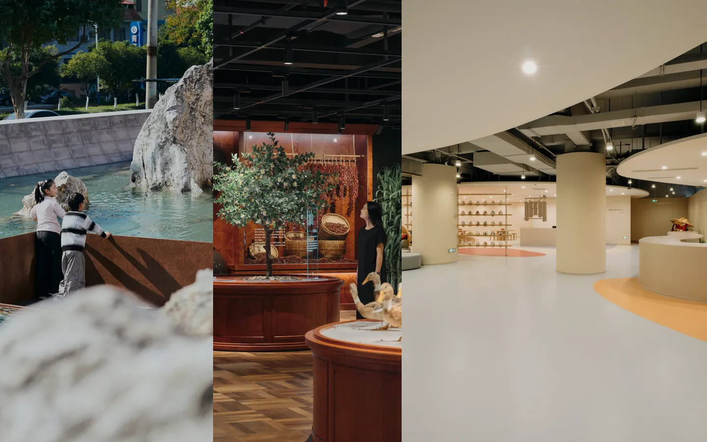 Shunhua Linwu Duck — Chenzhou Experience Factory